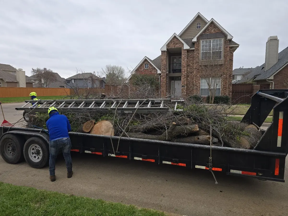 Expert Tree Removal with proper safety equipment in Luxora